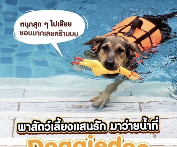 line_oa_chat_240925_215731