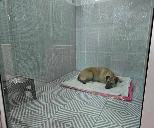 line_oa_chat_240925_220205