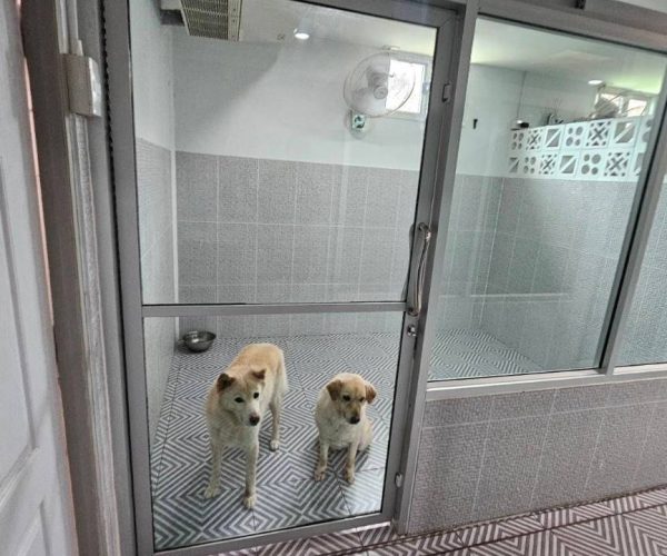 line_oa_chat_240925_220208